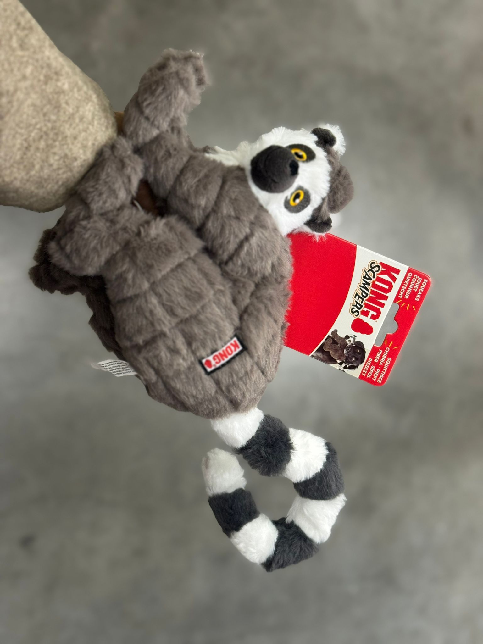 De product foto voor KONG Scampers Maki