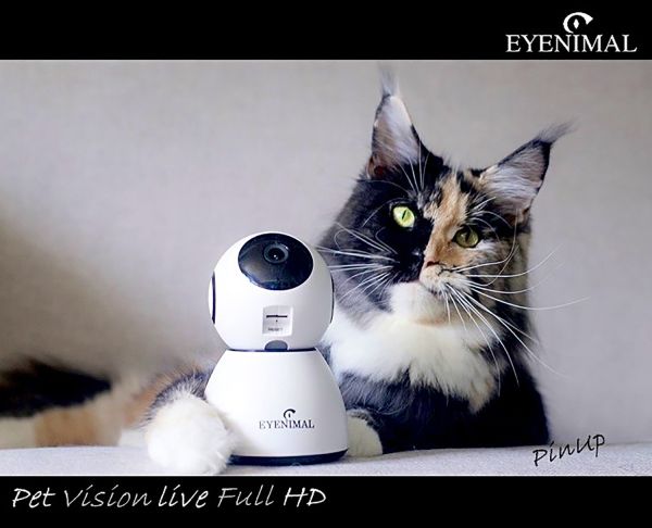De vierde product foto voor Eyenimal Pet Vision Live HD Camera met geluiddetectie
