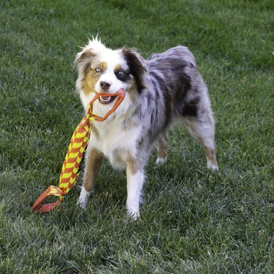 De product foto voor KONG Maxx Tug Rood/Geel