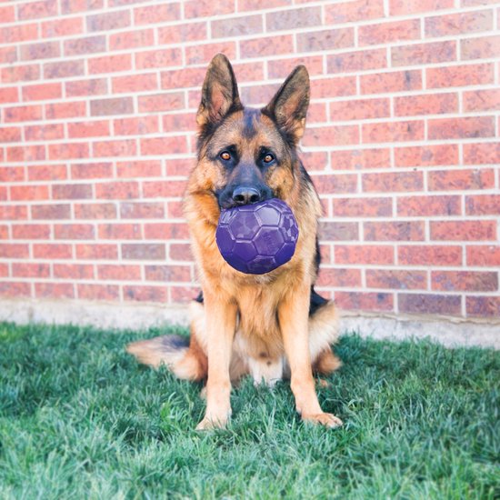 De product foto voor Kong Flexball Paars