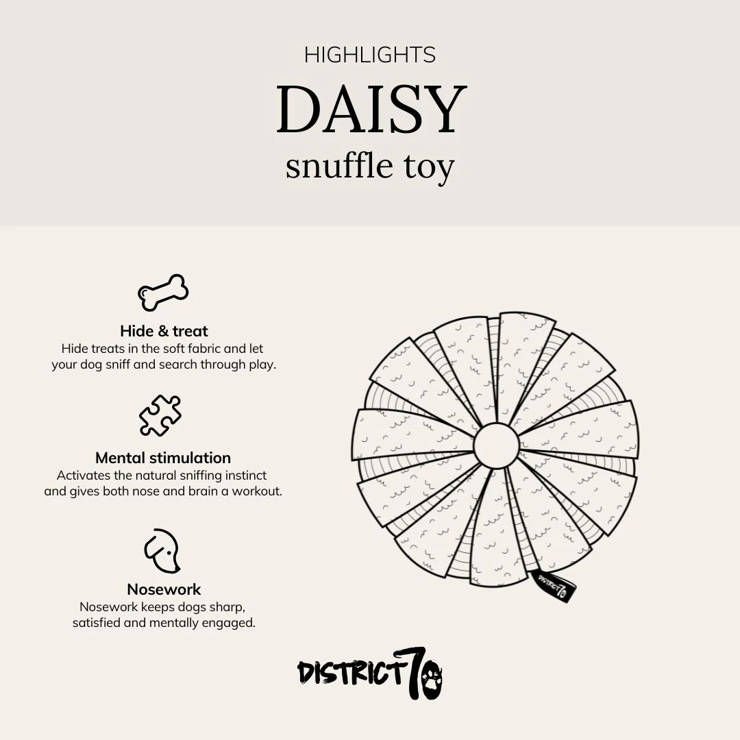 De derde product foto voor District 70 Daisy snuffeltoy
