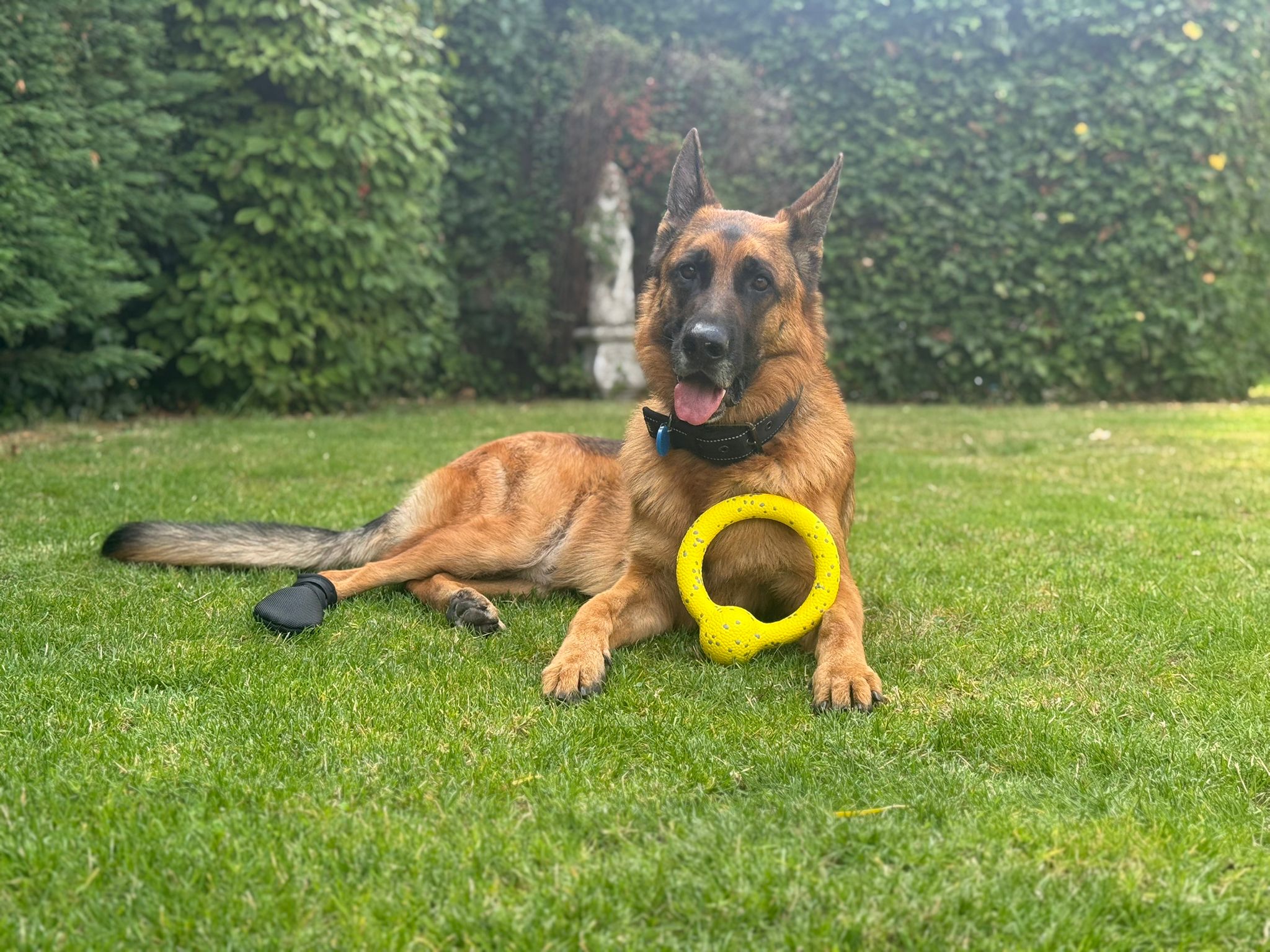De vierde product foto voor Fofos Puller