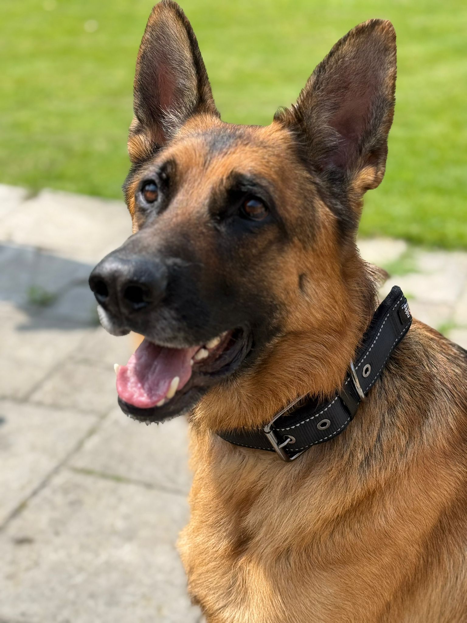 De derde product foto voor Rukka Form Soft Collar