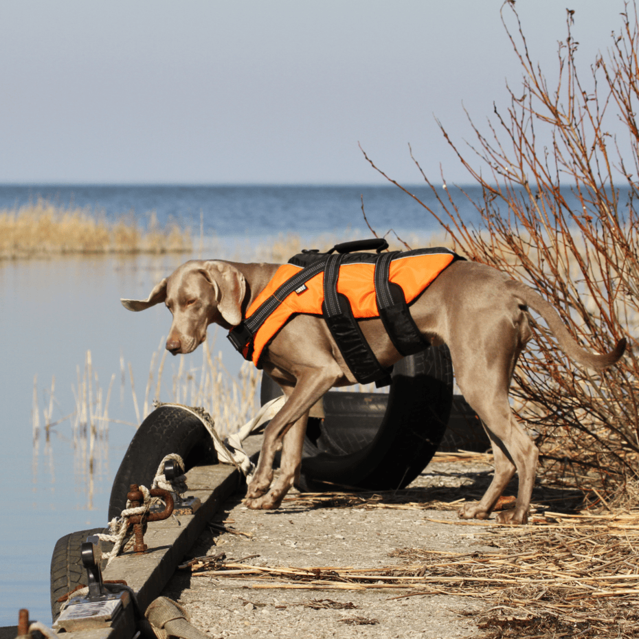 De tweede product foto voor Rukka Safety Life Vest