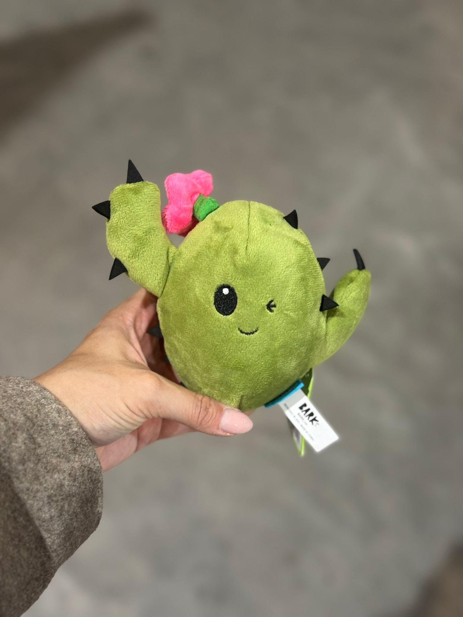De product foto voor BARK Consuela the cactus