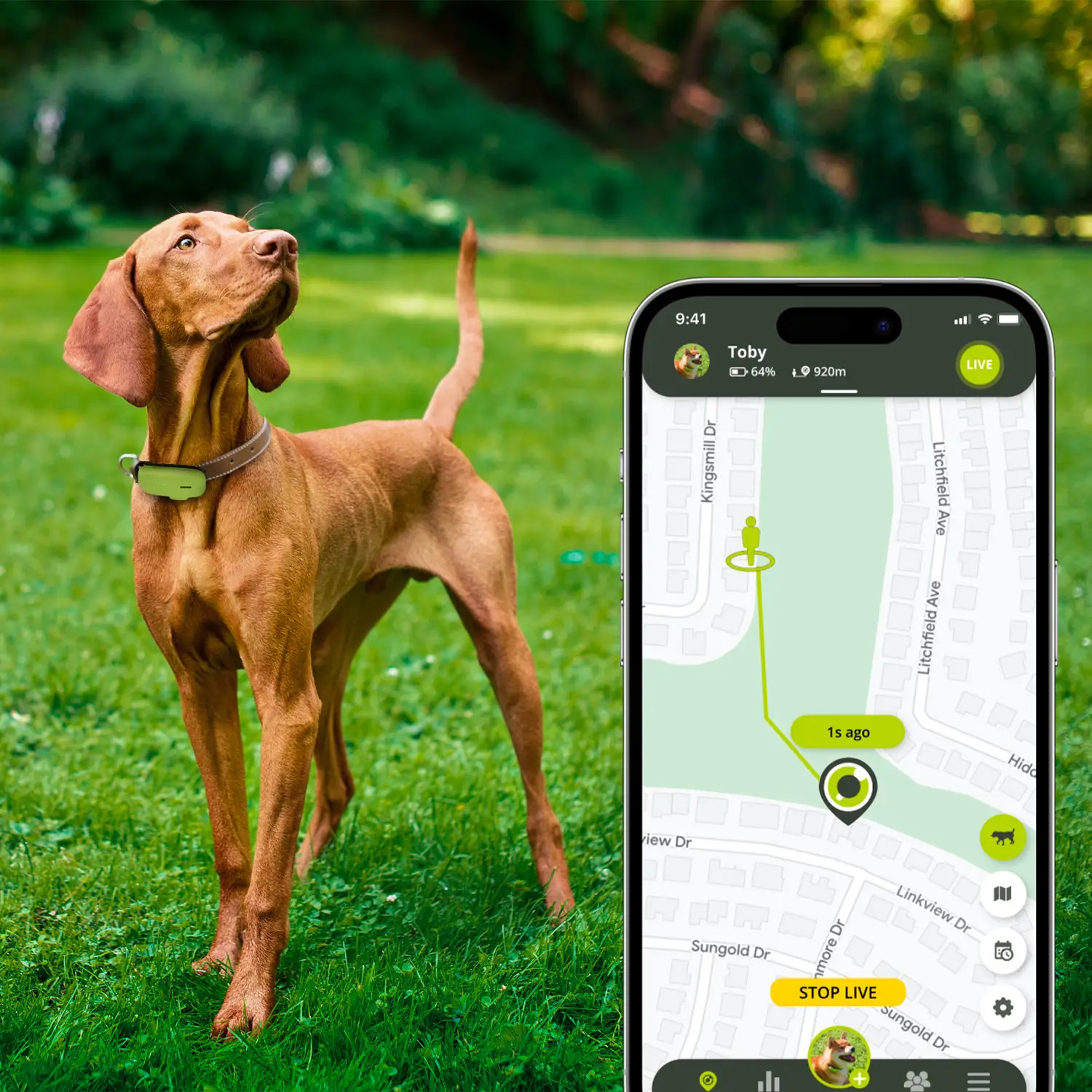 De tweede product foto voor Kippy DOG - GPS & Activity Monitoring