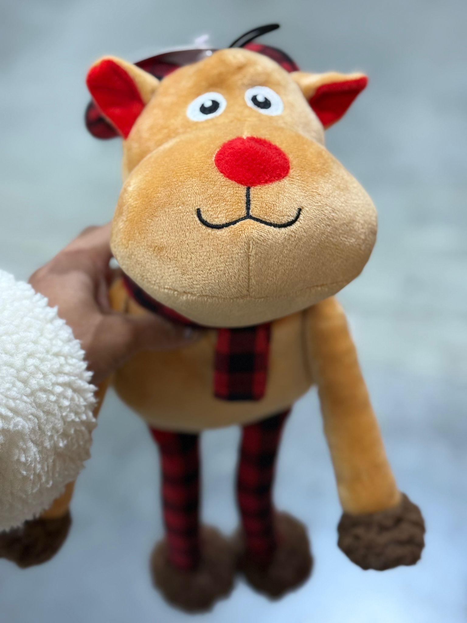 De product foto voor Ralph Rendier