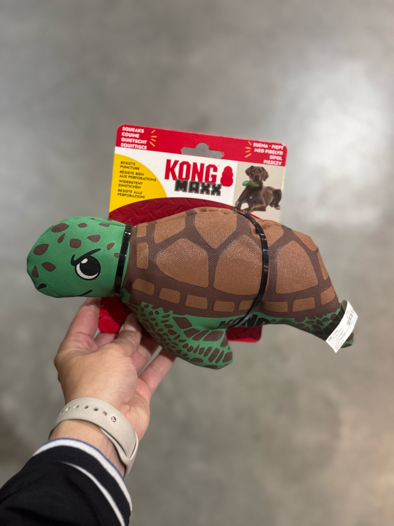 De product foto voor Kong Maxx Schildpad
