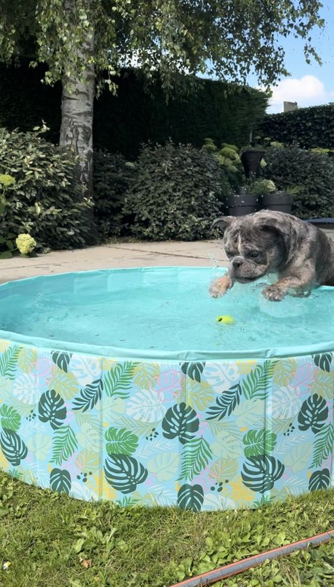 De derde product foto voor Easypets Summer Swimming Pool 