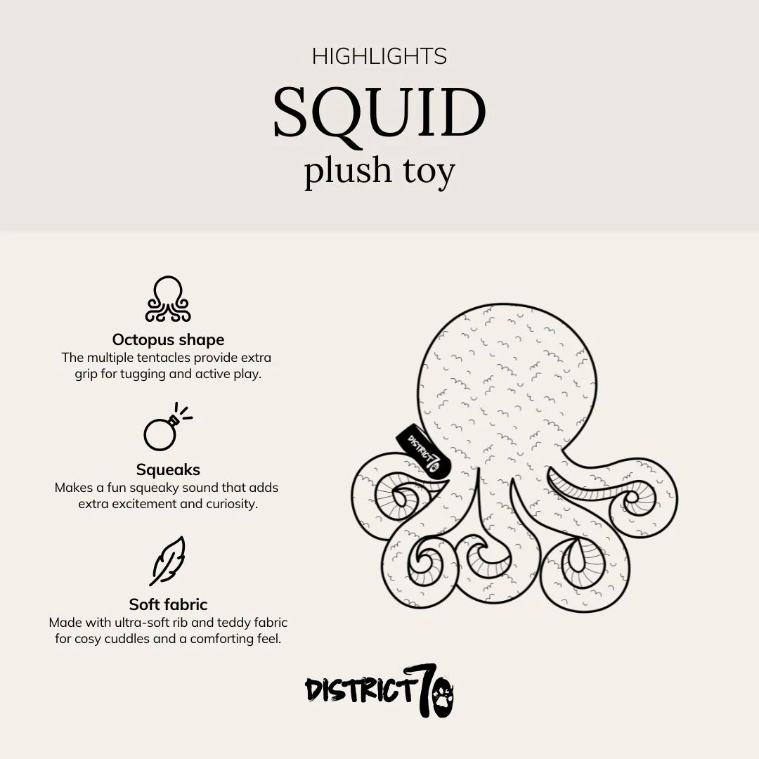 De vierde product foto voor District 70 Squid 