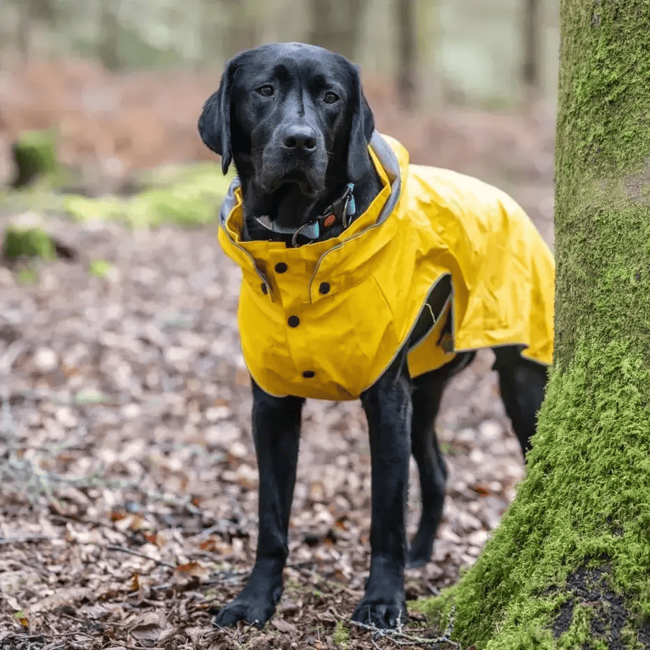 De tweede product foto voor Rukka Stream Raincoat