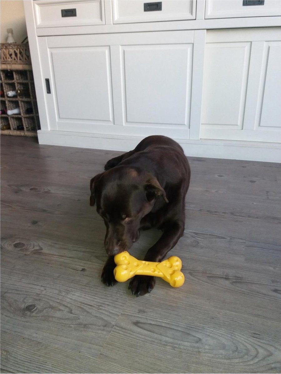 De derde product foto voor Nylabone Dura Chew Cheese Bone
