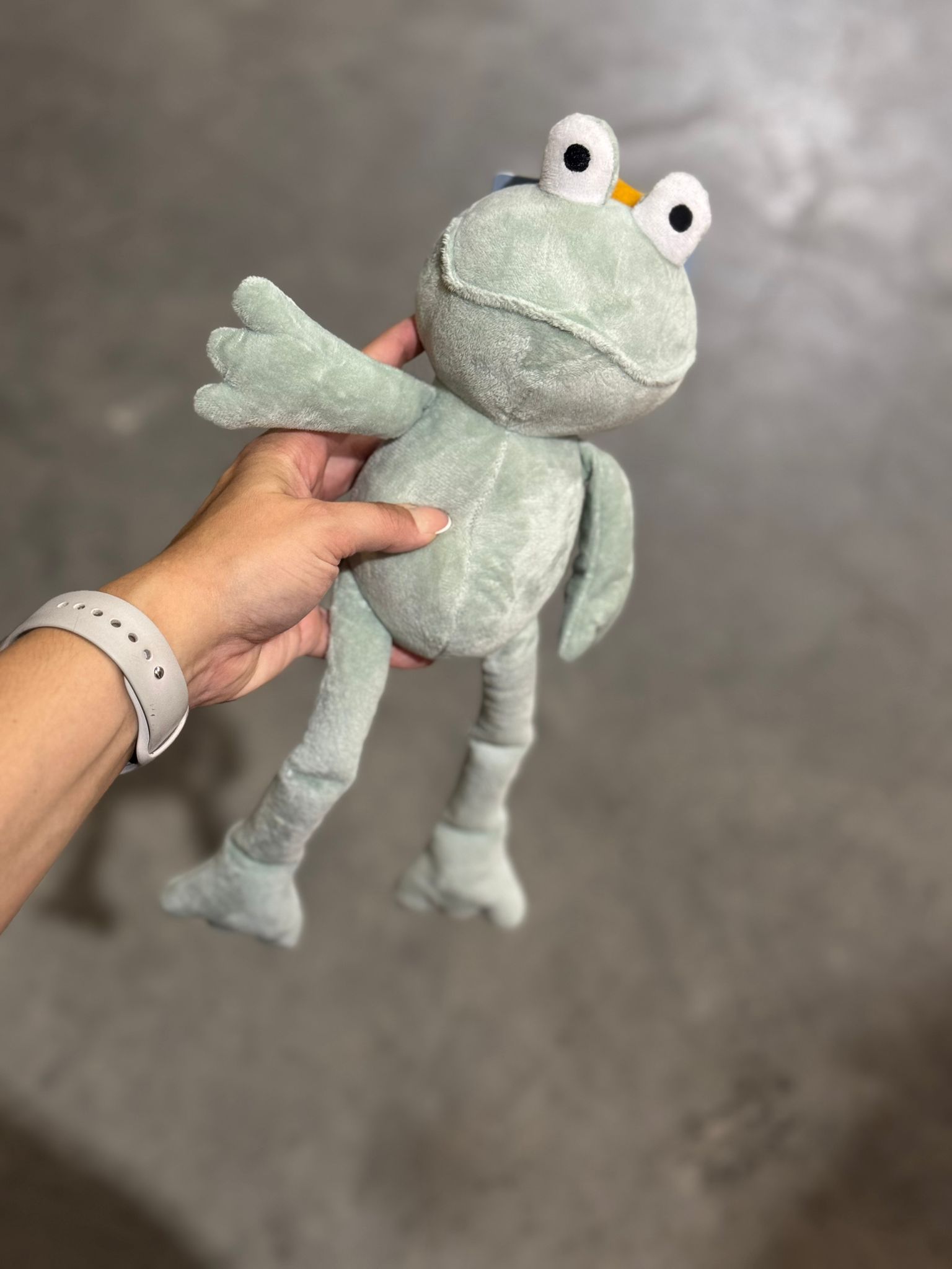 De product foto voor Trixie Kikker Koning Pluche