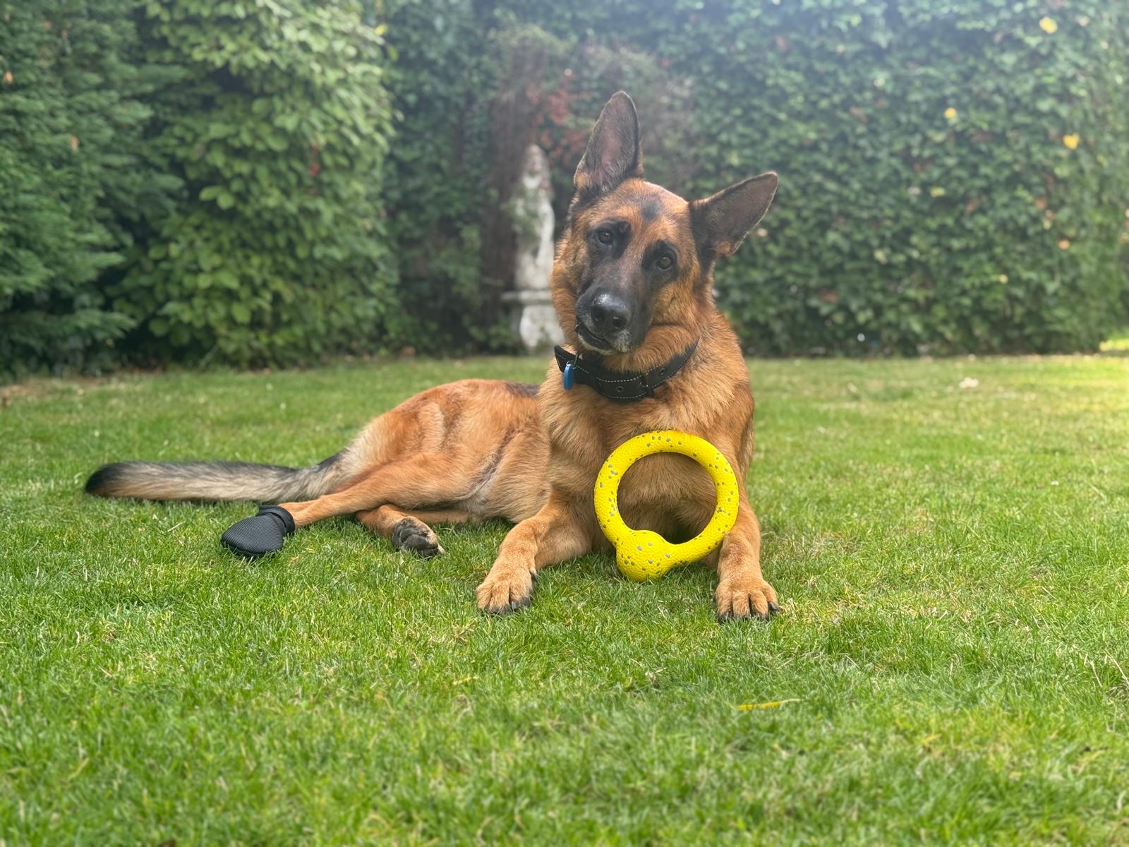 De tweede product foto voor Fofos Puller