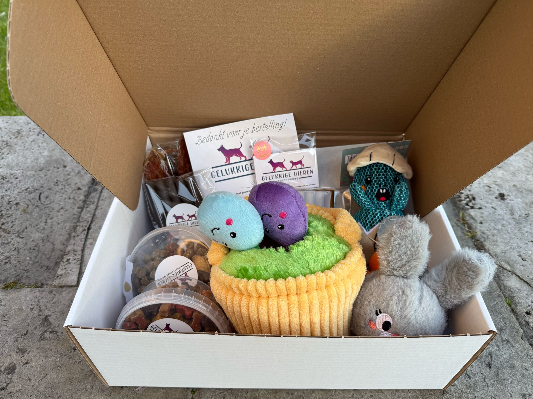 De derde product foto voor Verrassingsbox Pasen incl. snacks