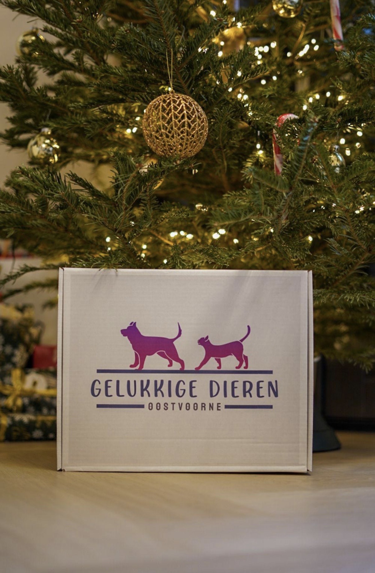 De derde product foto voor Verrassingspakket kerst