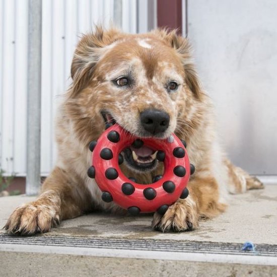 De product foto voor KONG Dotz Cirkel