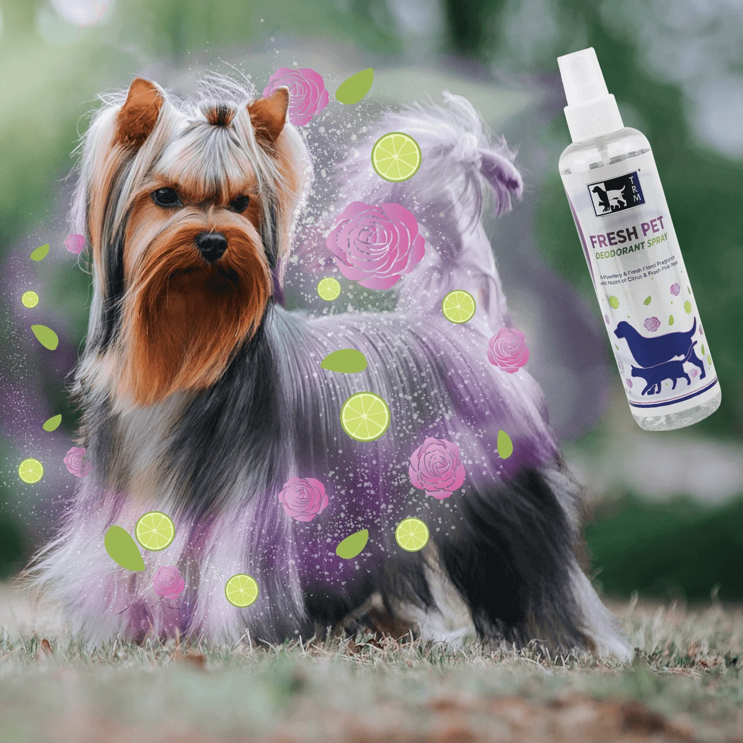 De tweede product foto voor Fresh pet Deodorant spray