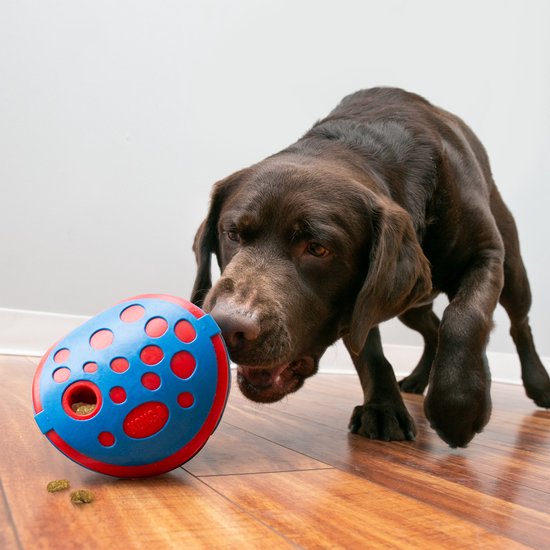 De derde product foto voor Kong Rewards Wally Blauw / Rood