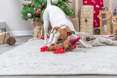 De derde product foto voor Xmas Rendier pluche+flostouw