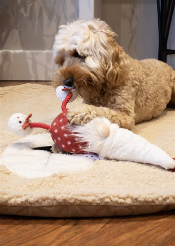 De eerste product foto voor Cupid & Comet Gonk Kerstkabouter Greg