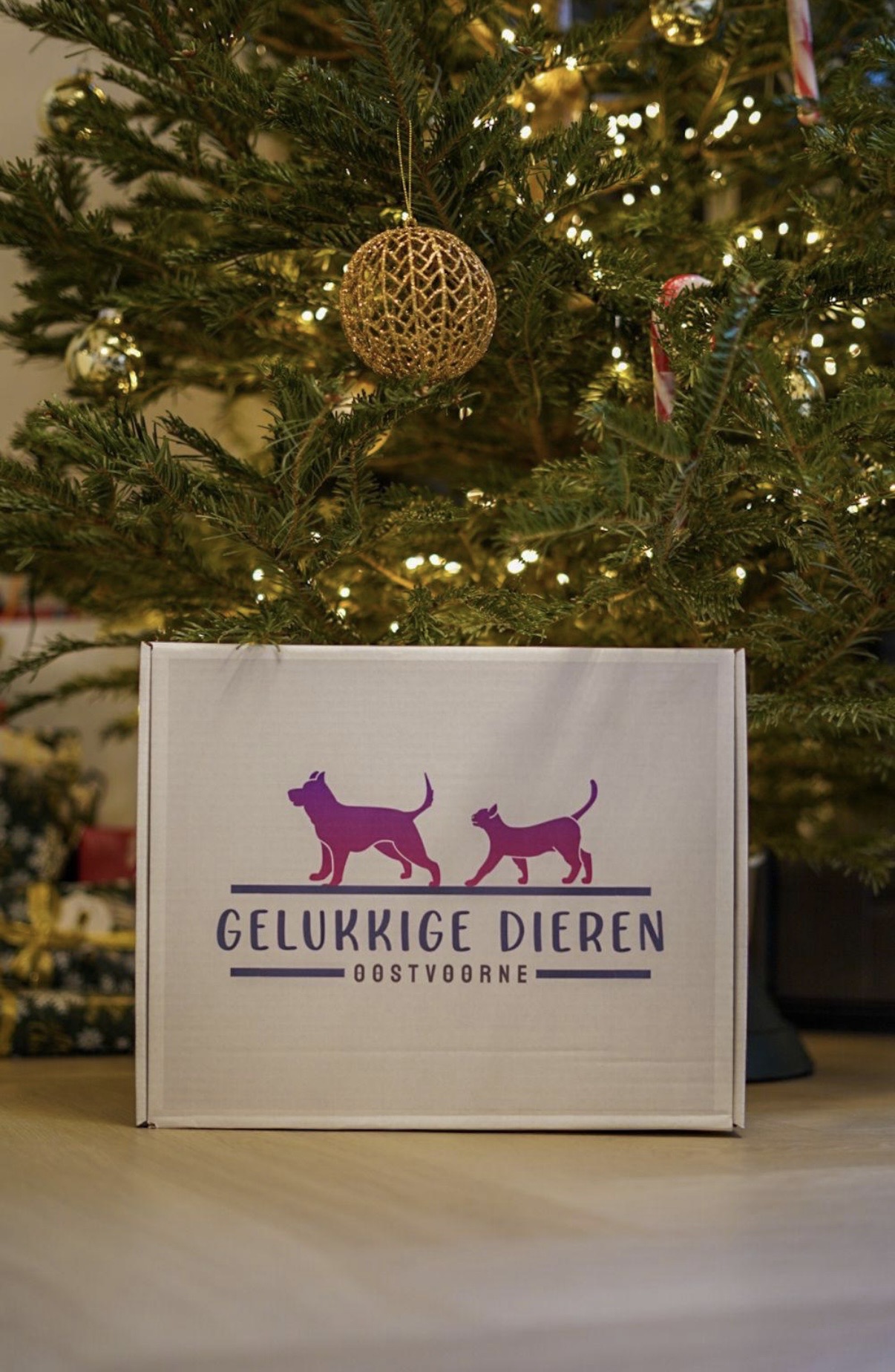 De product foto voor Verrassingspakket kerst