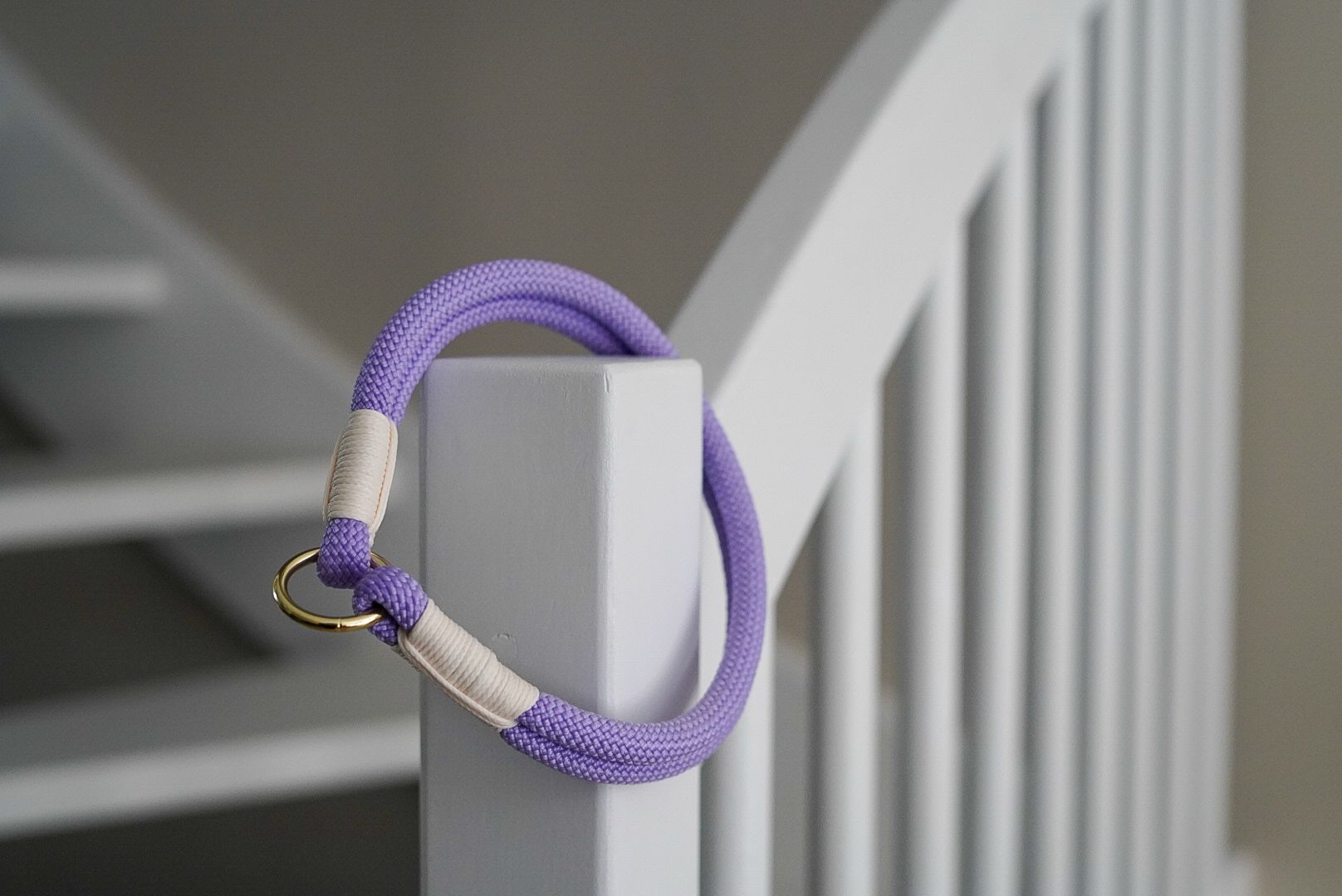 De eerste product foto voor ID halsband - Lila