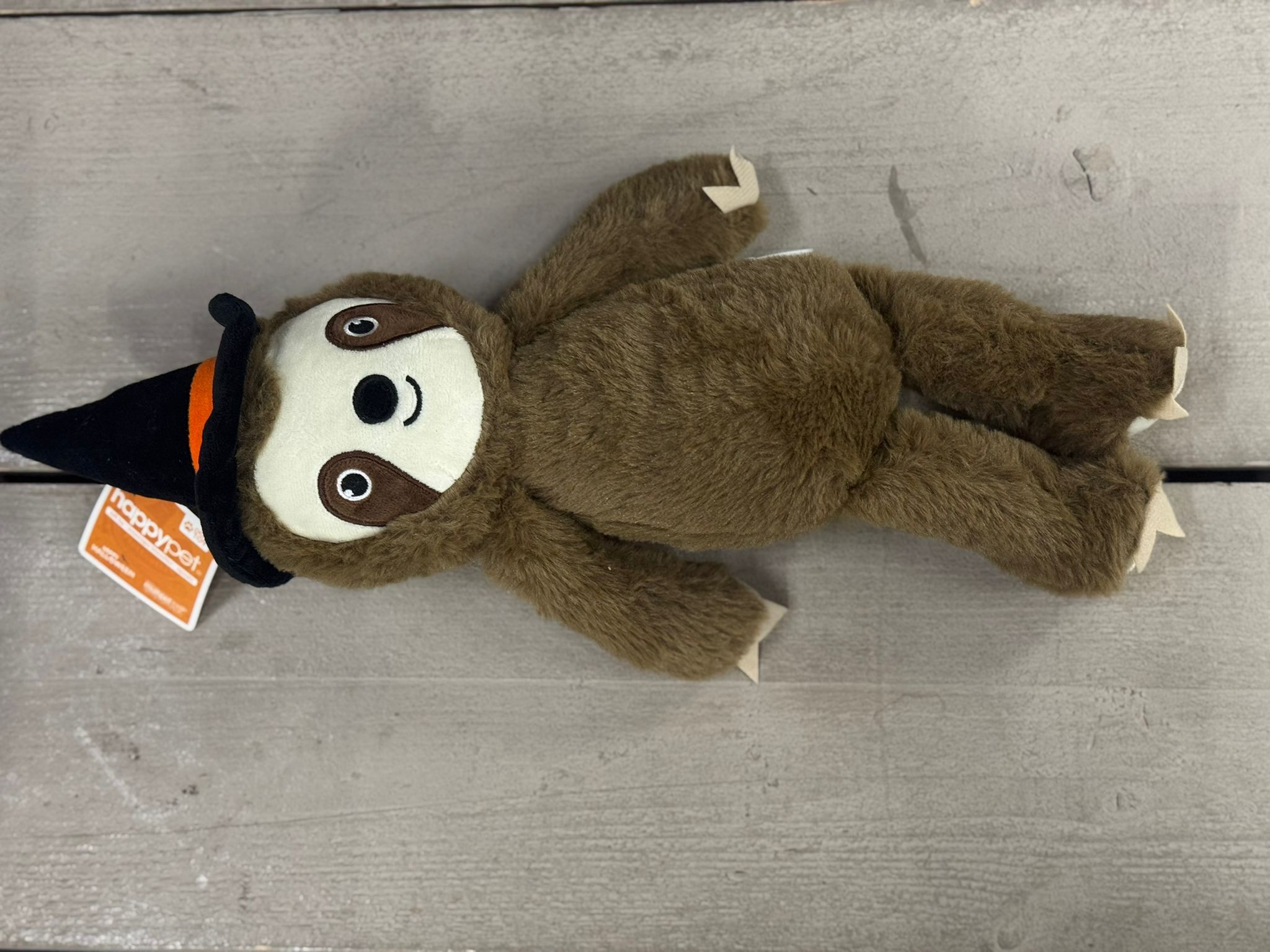 De product foto voor Halloween Witchy Sloth