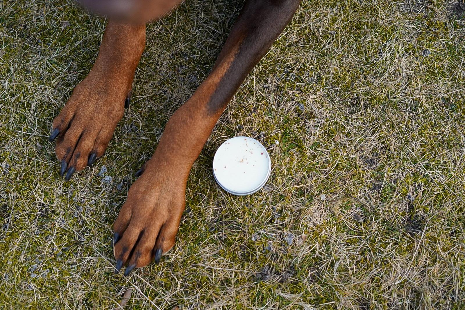 De product foto voor Beloved soft paw and nose balsem