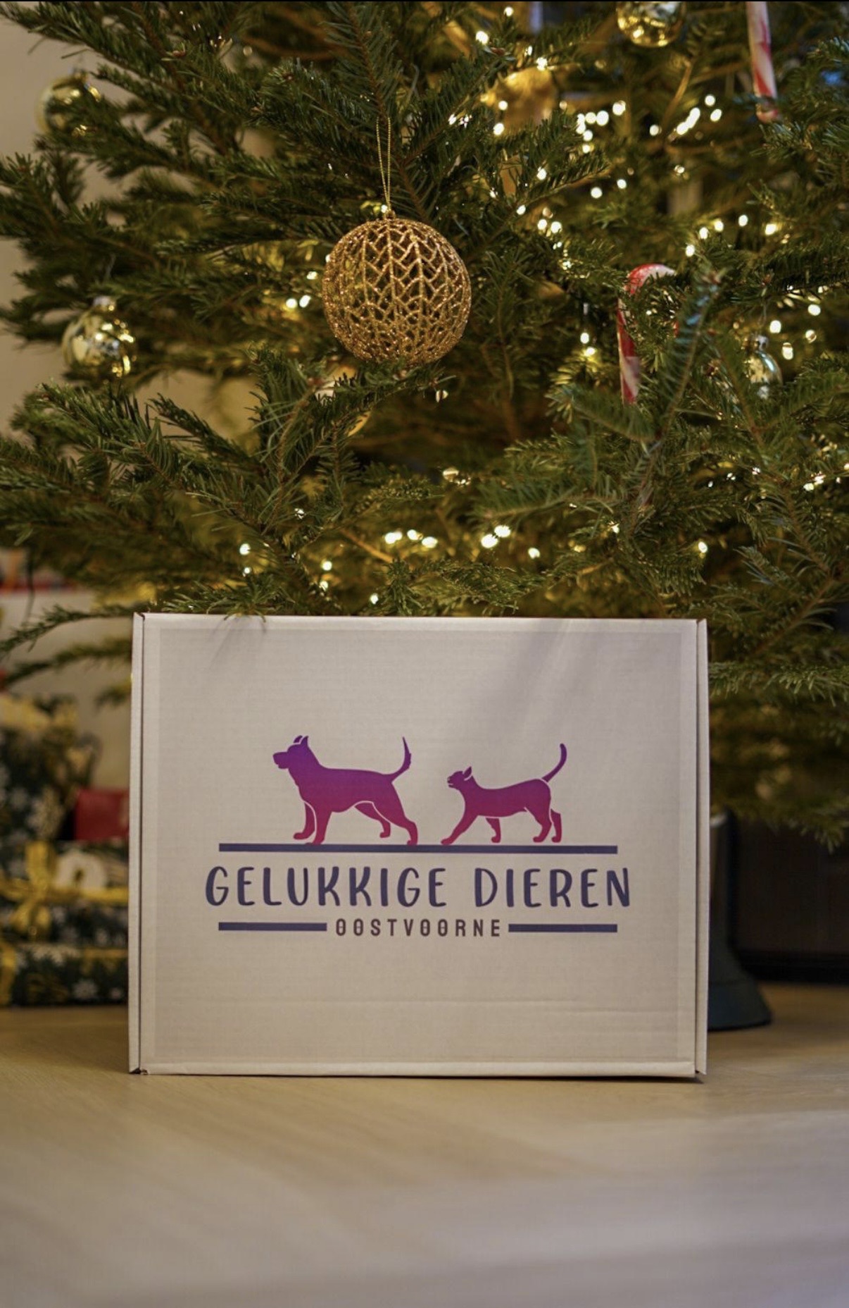 De tweede product foto voor Verrassingspakket kerst