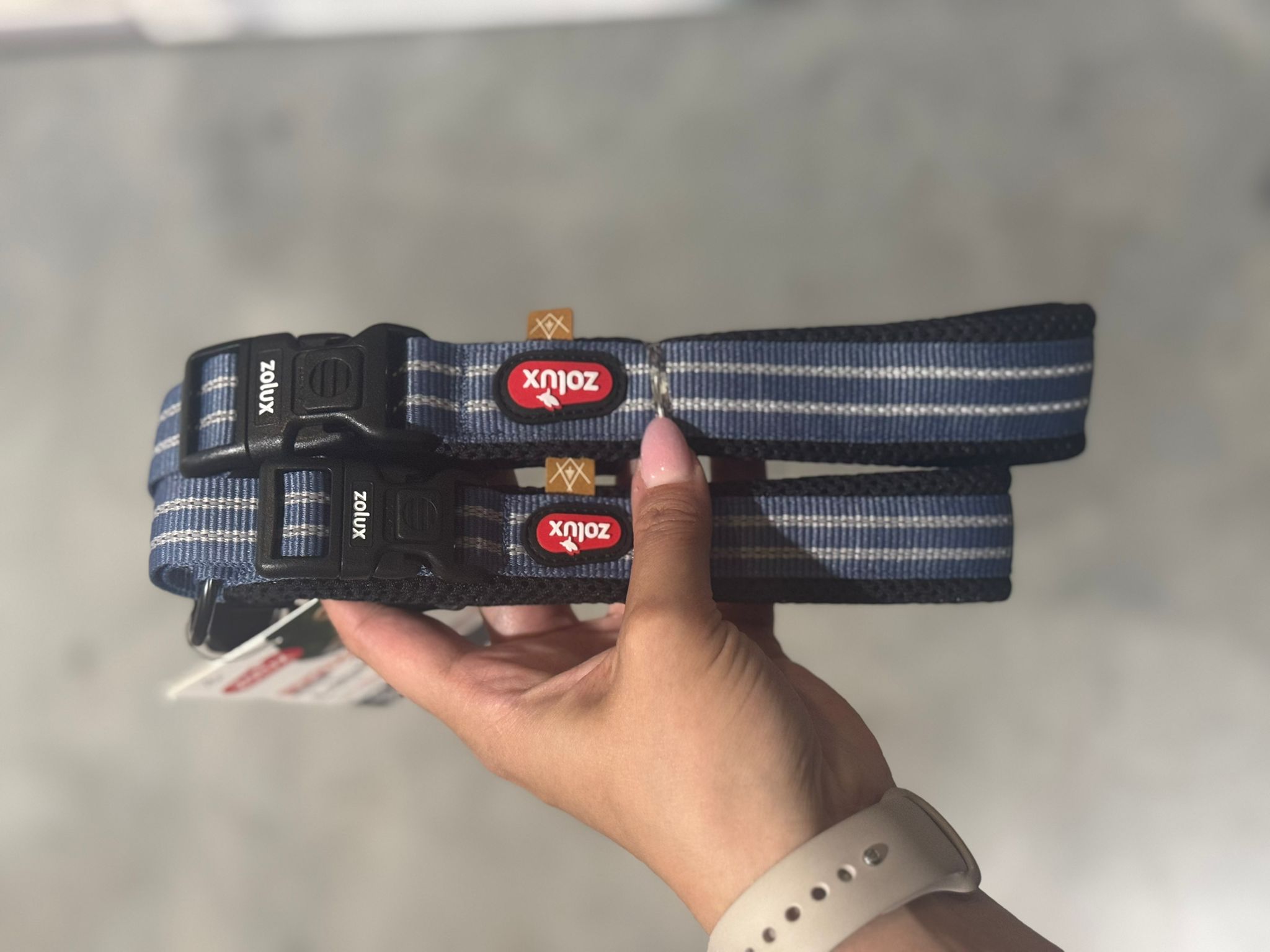 De tweede product foto voor Zolux Bivouak Halsband Hond Blauw