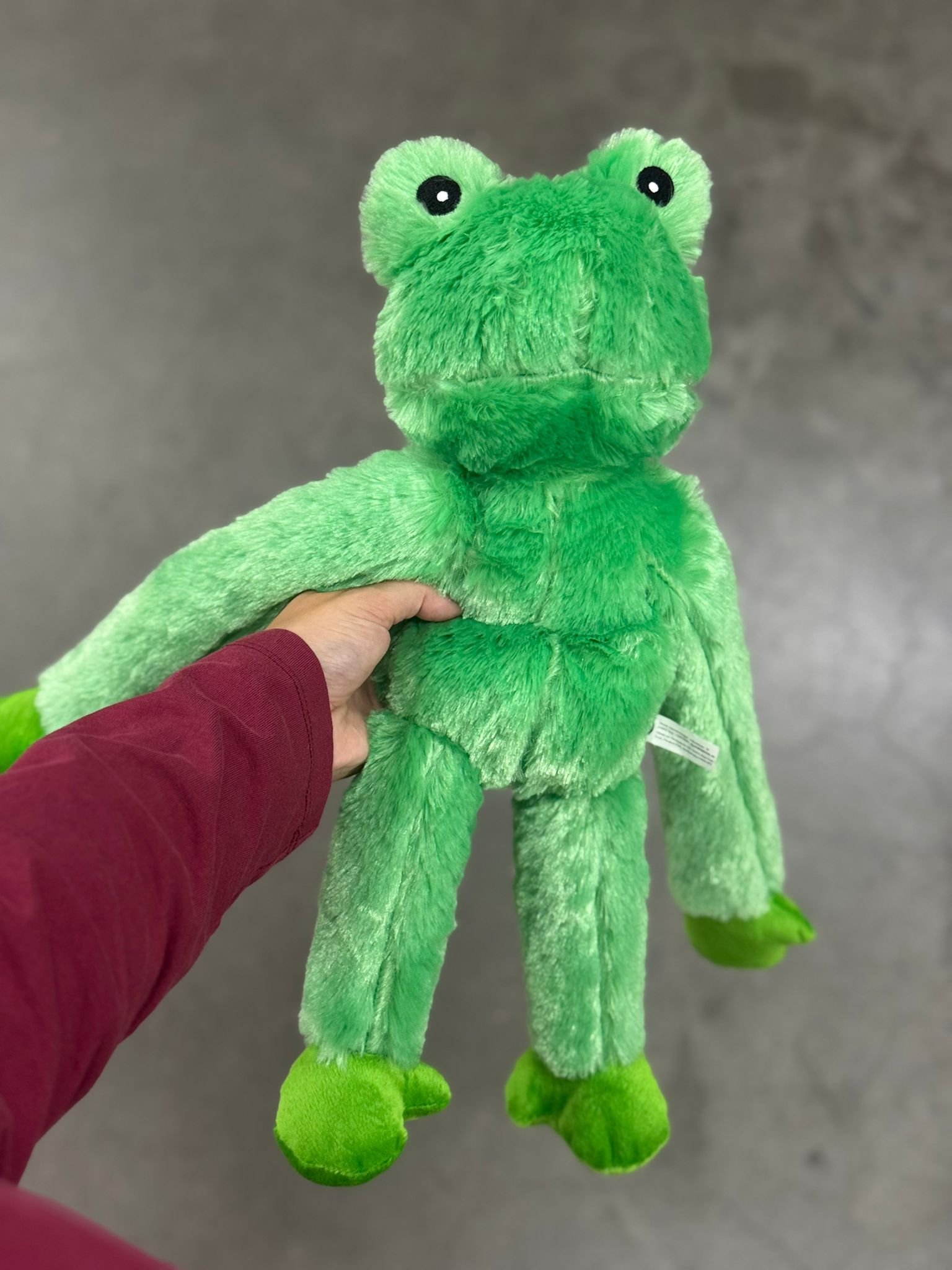 De tweede product foto voor Trixie Kikker Pluche