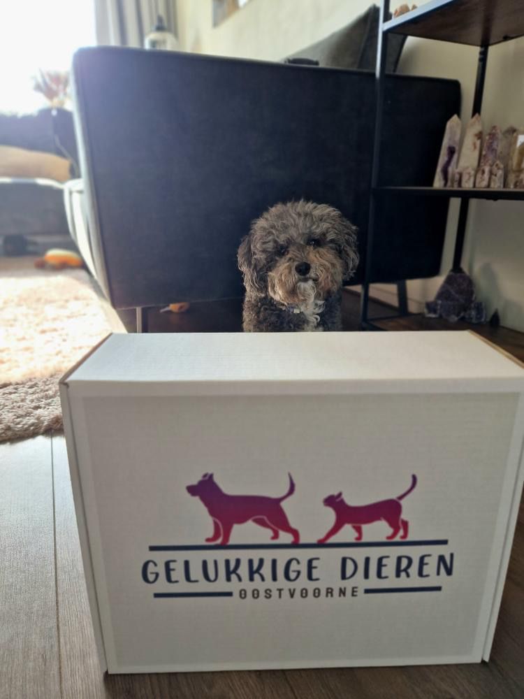 De tweede product foto voor Verrassingsbox Pasen incl. snacks