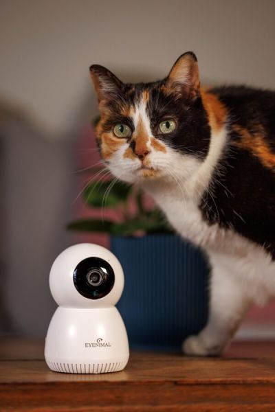 De vierde product foto voor Eyenimal Pet Vision Live HD Camera zonder geluiddetectie