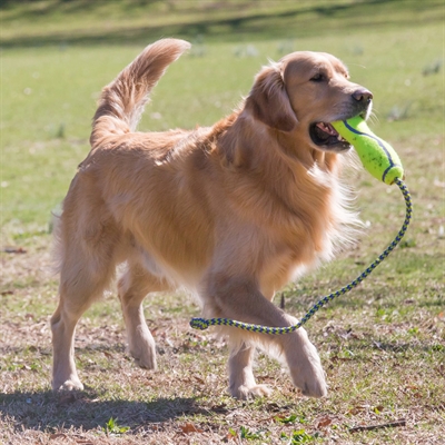 De eerste product foto voor KONG AirDog Fetch Stick