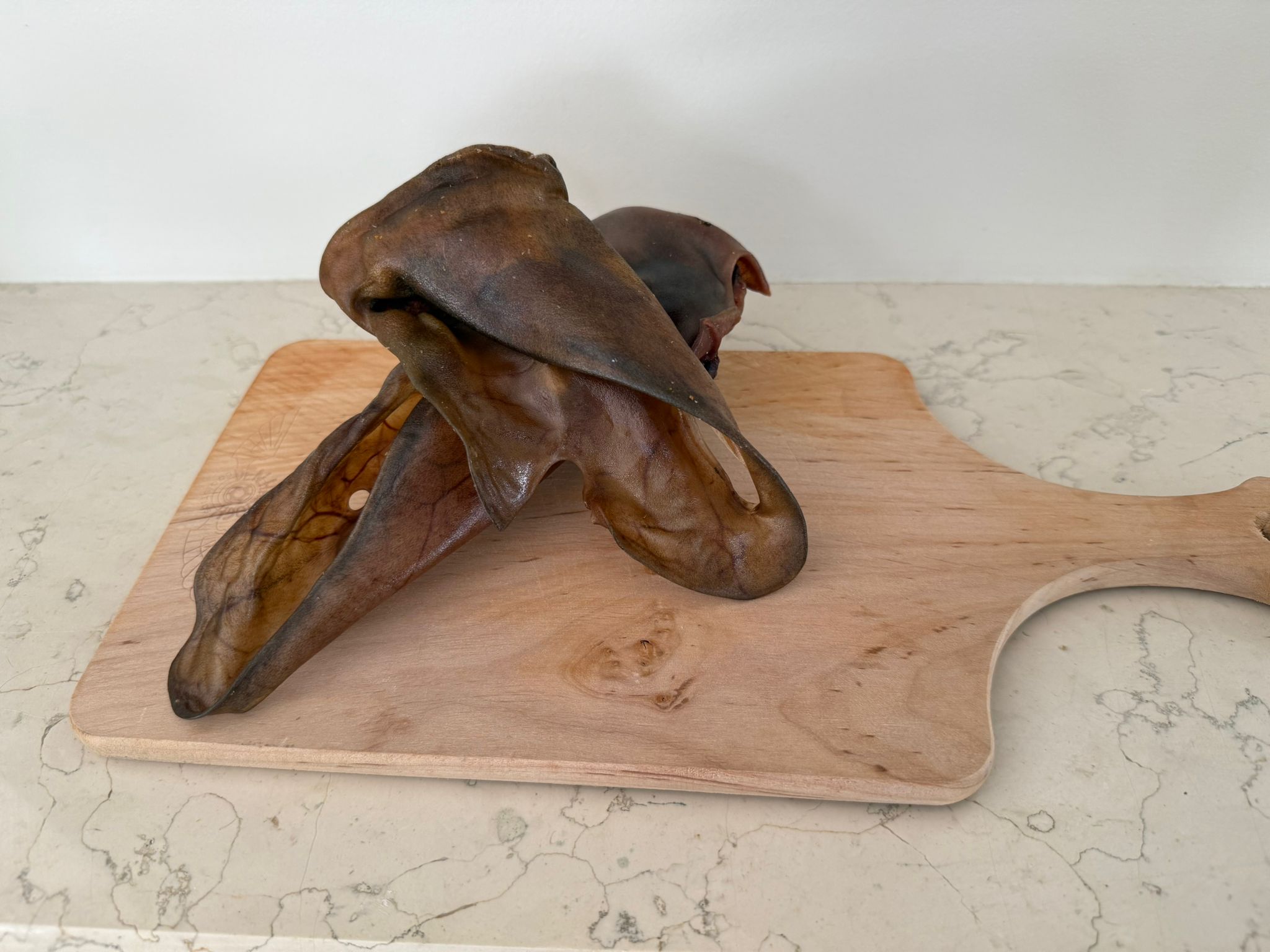 De tweede product foto voor Kamelen oor