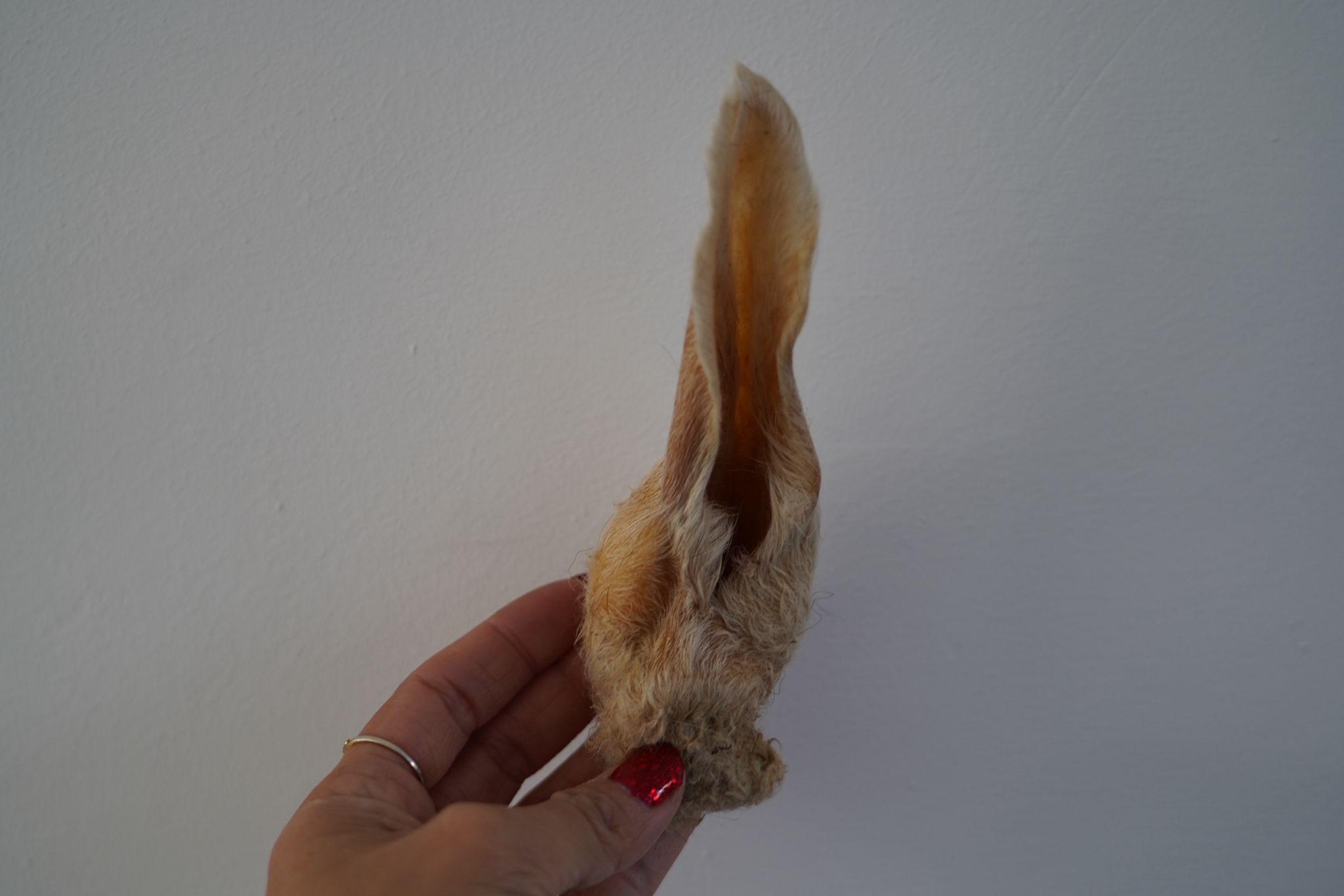 De vierde product foto voor Lamsoren met haar