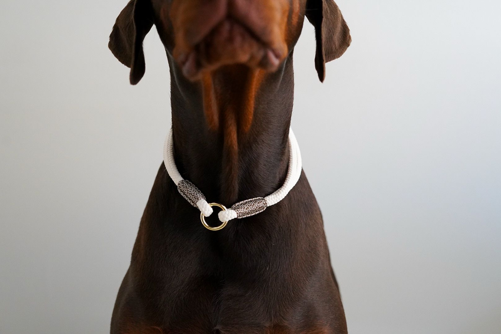 De product foto voor ID halsband Wit